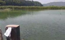 水產(chǎn)養(yǎng)殖水質檢測標準，這五個方面讓水質恢復清新