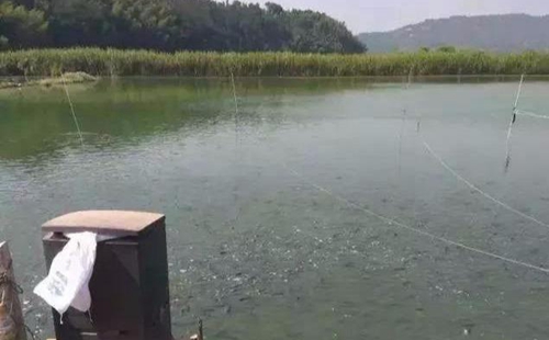 水渾了？不用怕，這五個(gè)方面讓水質(zhì)恢復(fù)清新