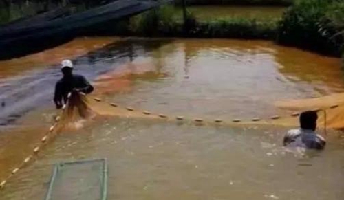 水浑了？不用怕，这五个方面让水质恢复清新